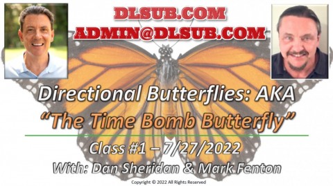 Dan Sheridan - Directional Butterflies