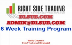 Right Side Trading Wally Olopade 6 Weeks Coaching Program rightsidetrading.com