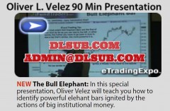 Oliver Velez The Bull Elephant