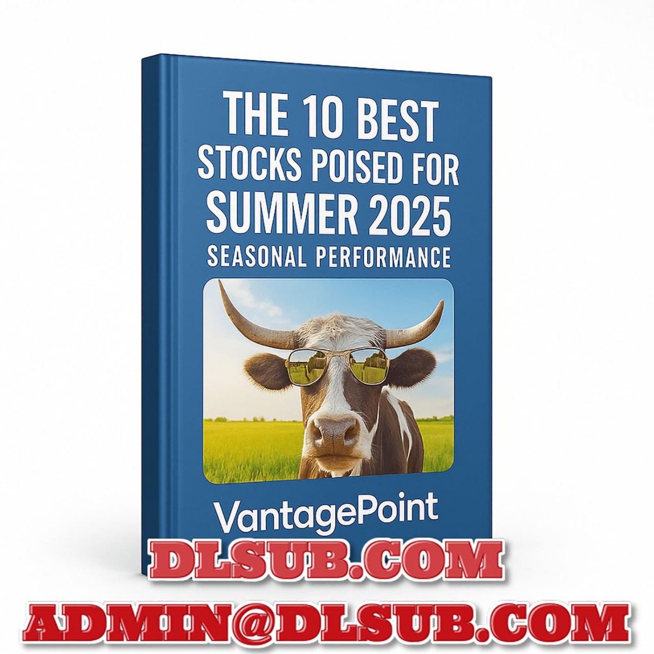 VantagePoint AI Software - The 10 Best Stocks Poised for Summer 2025 Seasonal Performance Software