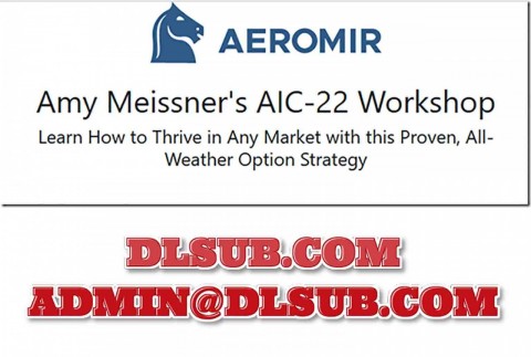Marketing package image for Aeromir – Amy Meissner’s AIC-22 Workshop digital course program