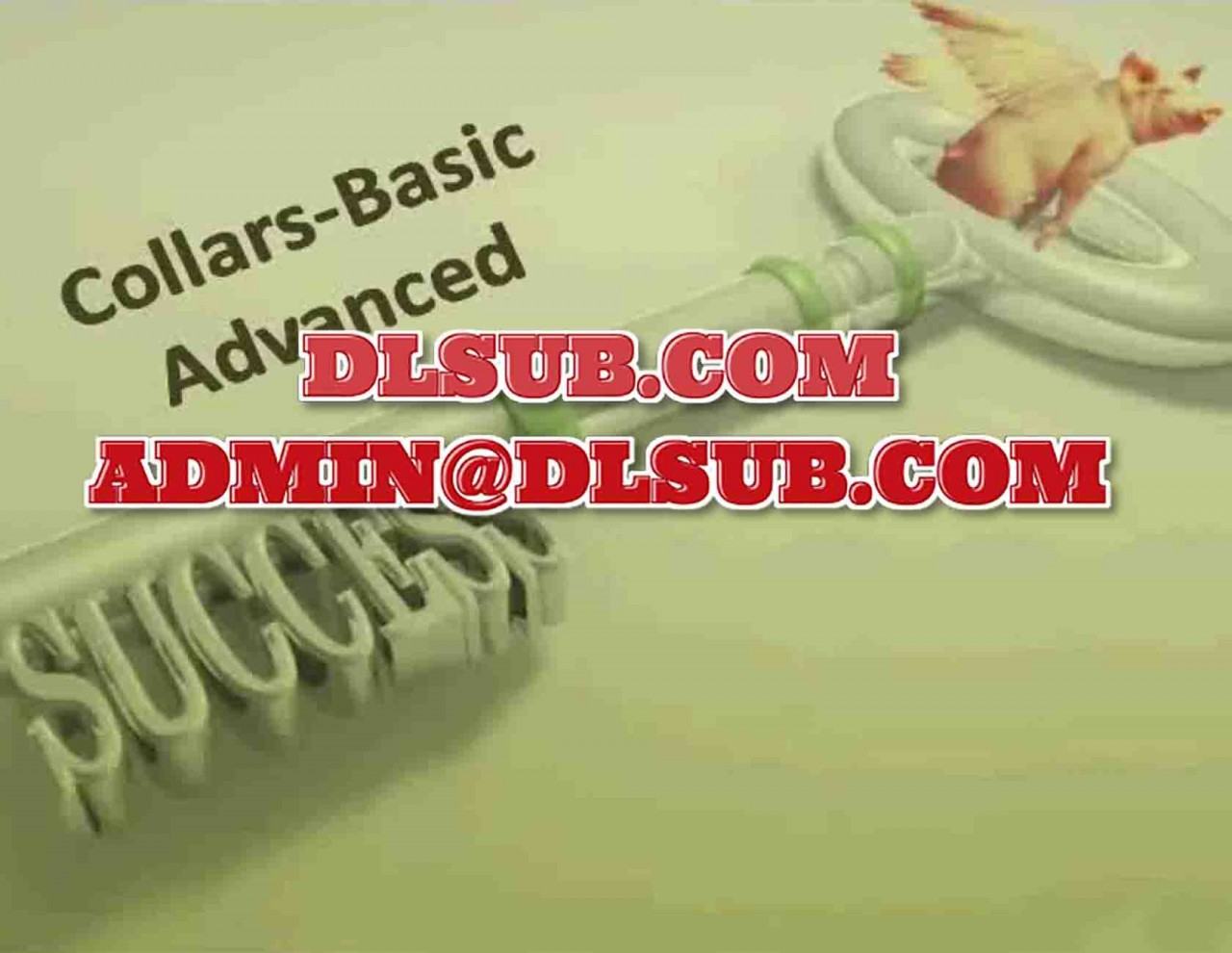 Random Walk Trading Collar Basic to Advanced Course