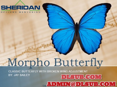 Dan Sheridan - Broken Wing Butterflies in a High Vol Environment