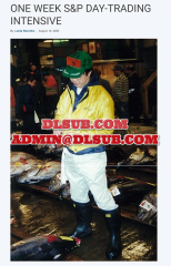 Linda Raschke One Week SP 500 Day Trading Intensive Workshop lindaraschke.net